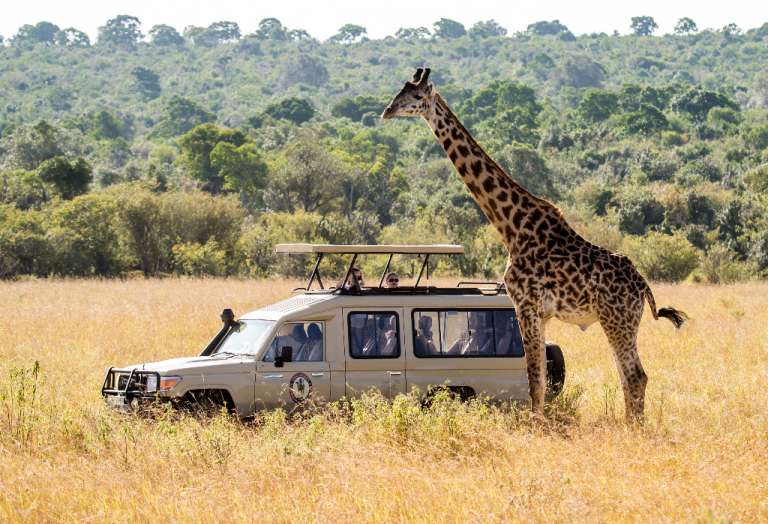 african safari tours for young adults