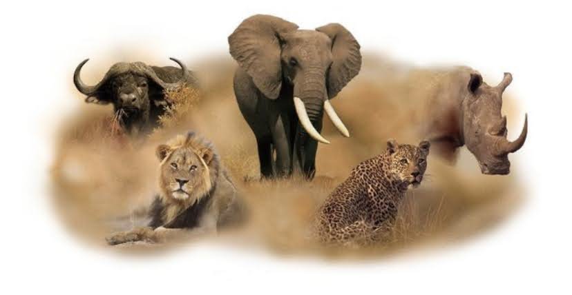 Kenya Safari Tour Packages